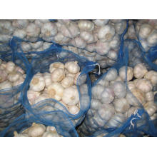 2015 New Crop Fresh Normal White Garlic